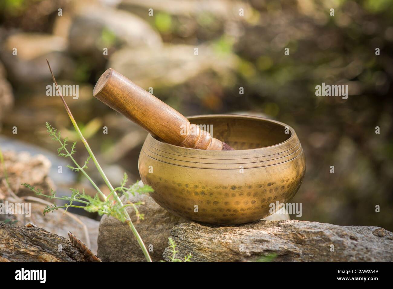 Gesangsschale, buddhistisches Instrument zur Tontherapie, tibetische Gesangsschale, neben Teich. Stockfoto