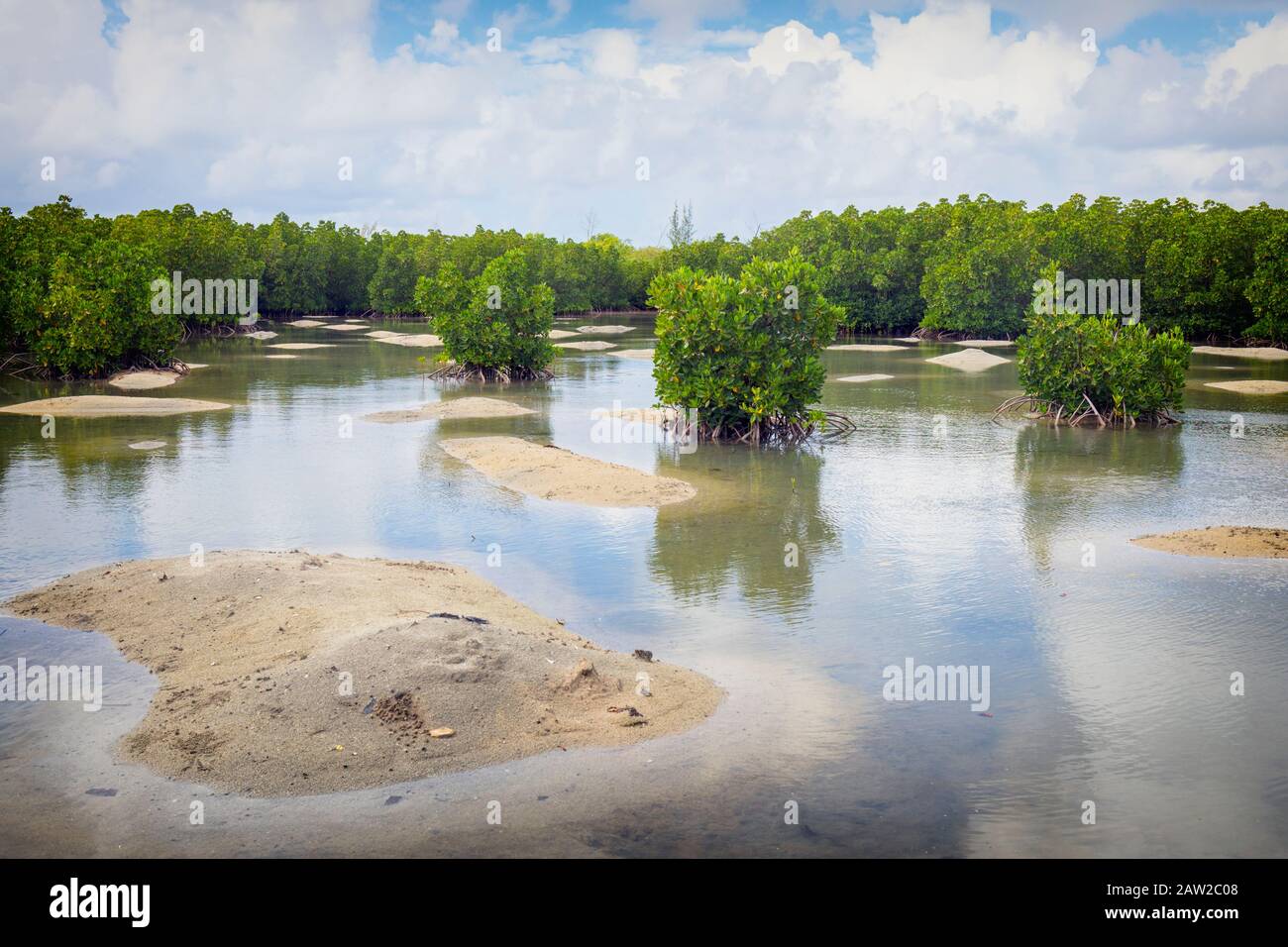 Die Pointe D'Esny Feuchtgebiet in der Nähe von Mahebourg, Mauritius, Maskarenen Inseln. Die Feuchtgebiete sind ein Ramsar-gebiet von internationaler Bedeutung erklärt. Stockfoto