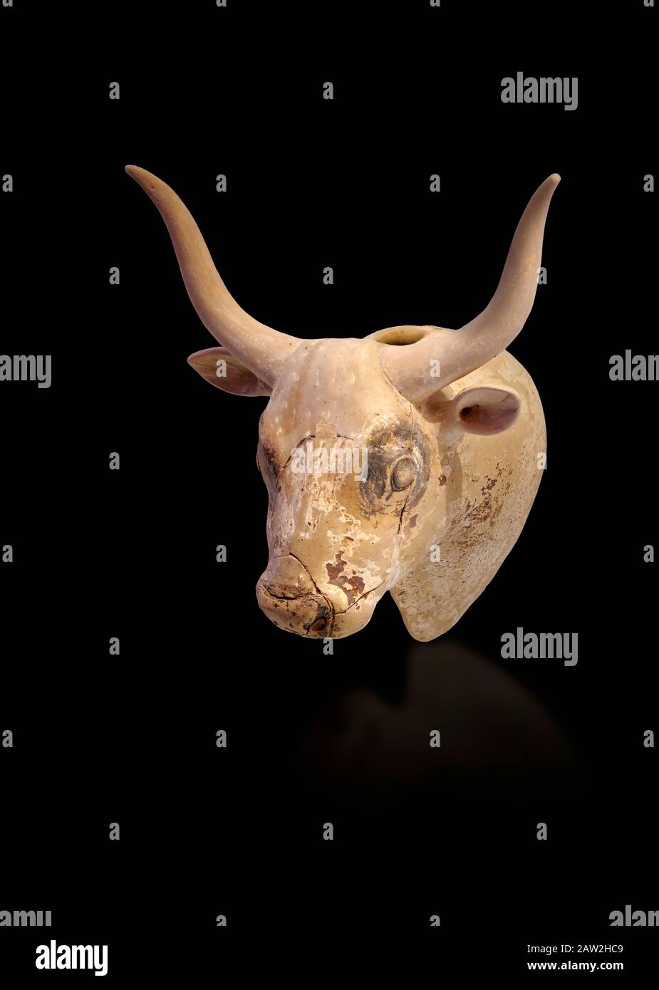 Minoan Bulls Kopfrhythmusgefäß für die Libation, Gournia 1600-1450 v. Chr.; Archäologisches Museum Heraklion. , schwarzer Hintergrund Stockfoto