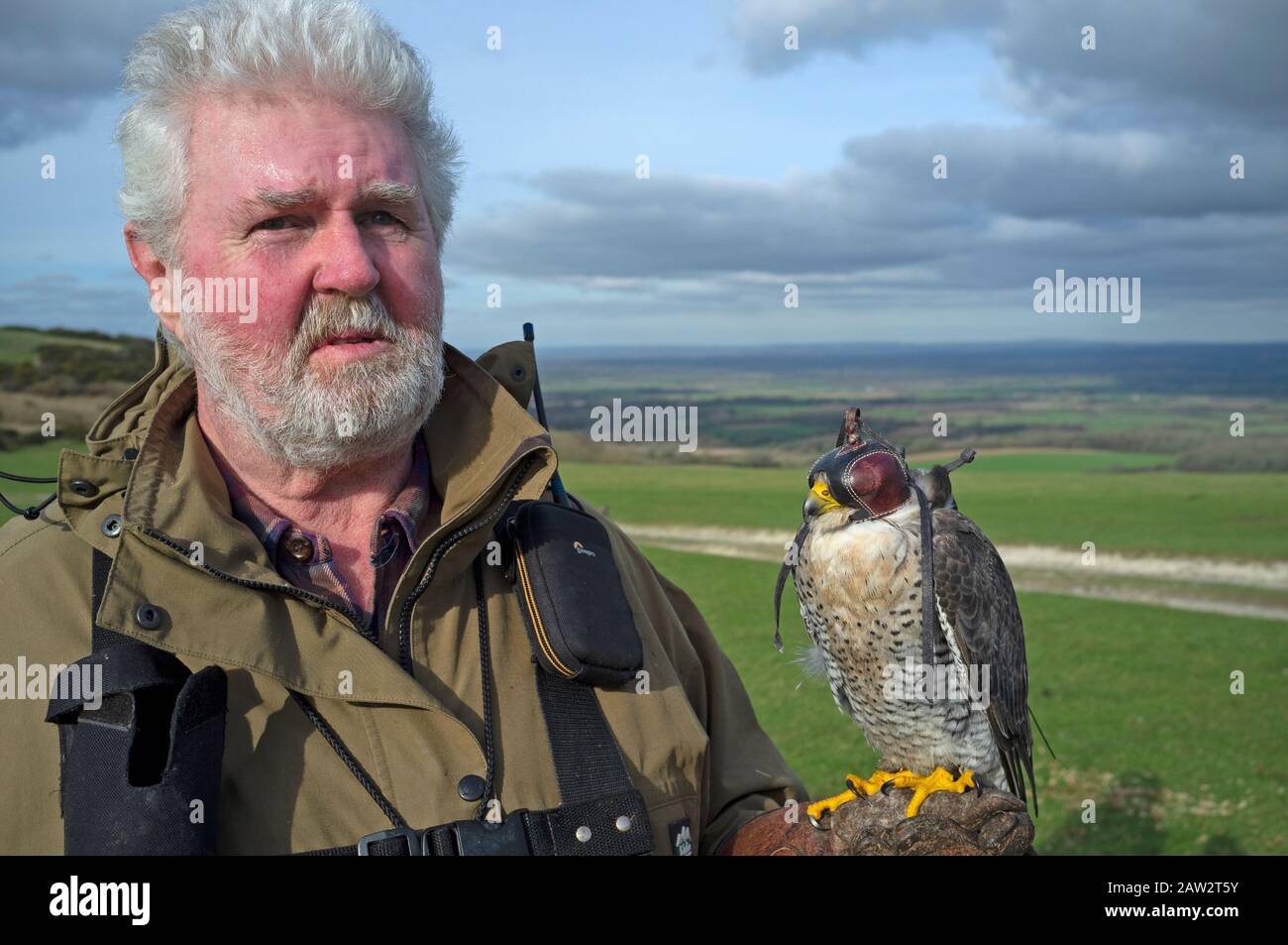 Ein falconer mit seinem Vogel auf den South Downs in East Sussex Stockfoto