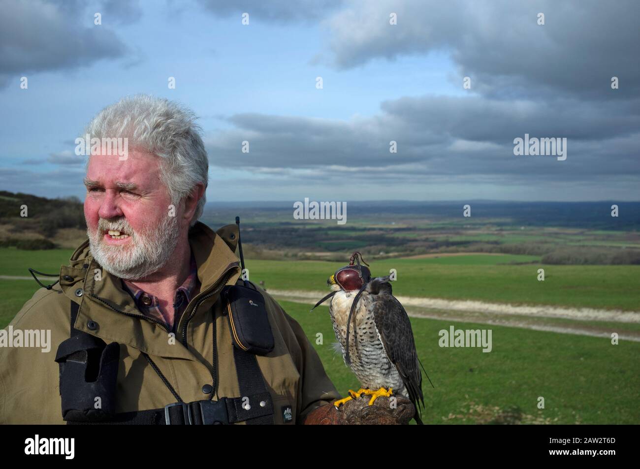 Ein falconer mit seinem Vogel auf den South Downs in East Sussex Stockfoto