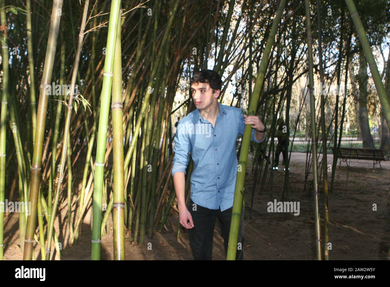 Bamboo Boy Stockfoto