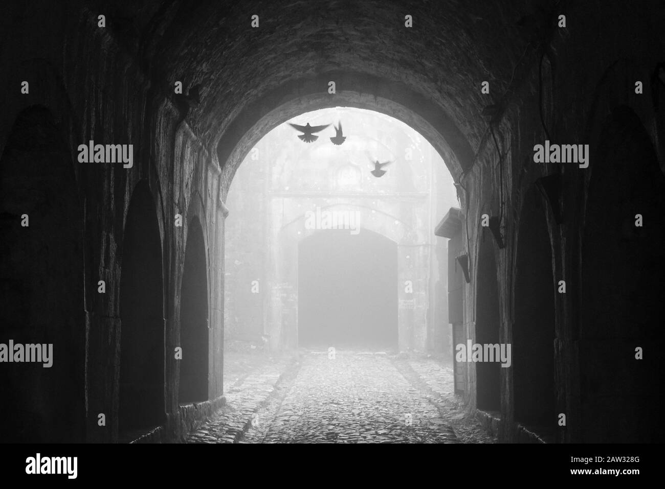 Schloss Rozafa im dichten Nebel (Albanien) Stockfoto