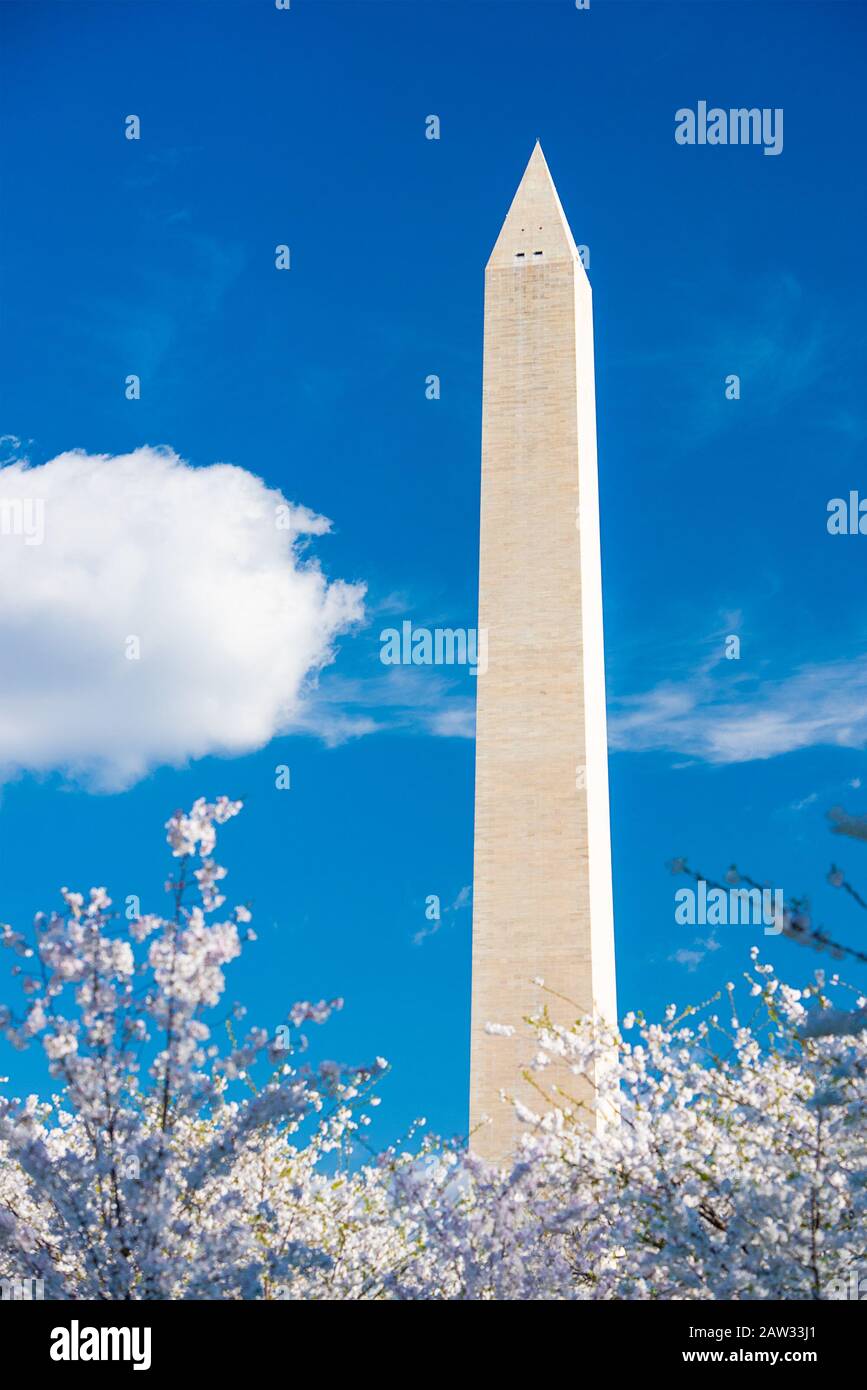 Washington DC, USA im Frühjahr Saison. Stockfoto