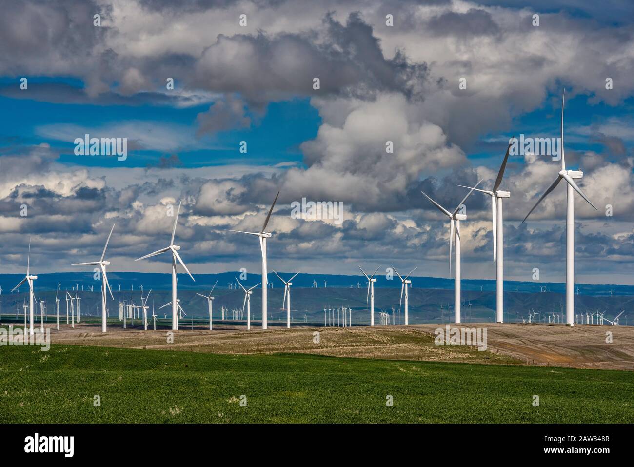 Windparks auf dem Umatilla-Plateau, Teil des Columbia-Plateaus, in der Nähe von Grass Valley, Oregon, USA Stockfoto