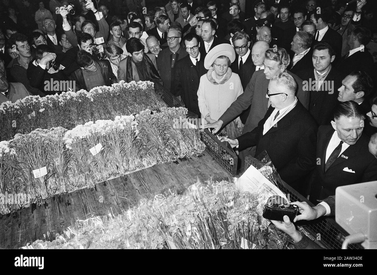 Präsident Heinemann und Königin Juliana besuchen Cooperative Central Westland Cut Auction Honselersdijk Datum: 26. November 1969 Ort: Honselersdijk Schlagwörter: Blumen, Besuche, Königinnen, Auktionen Personenname: Heidemann, Gustav, Juliana (Königin Niederlande) Stockfoto