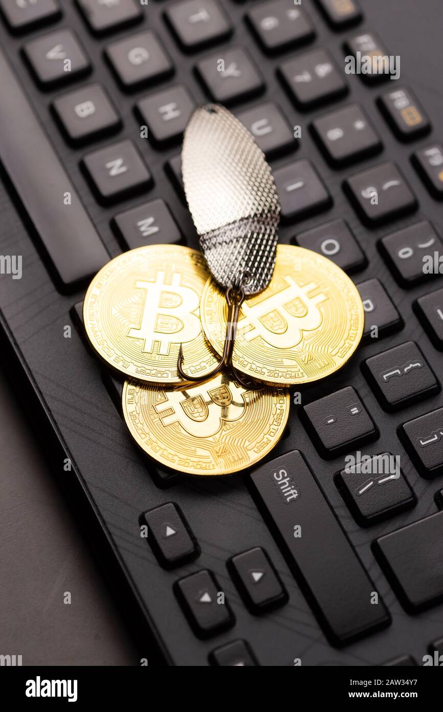 Bitcoin-Münzen an einem Haken über der Tastatur. Konzept, Geld zu fangen, Geldschrecken, Kryptologie-Betrug Stockfoto