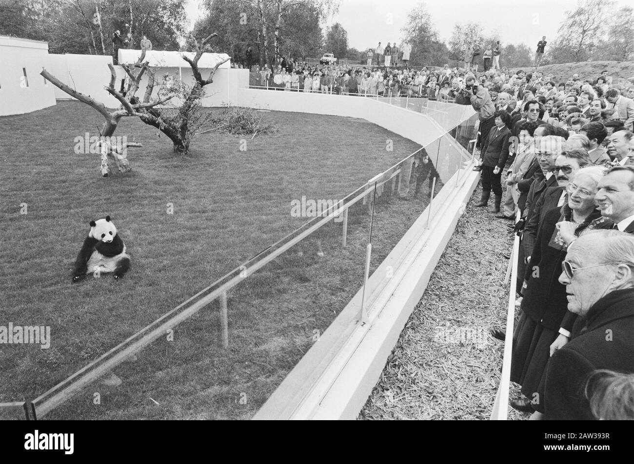 Prinz Bernhard setzt Unterkünfte riesige Pandas in gebruki, indem er die WWF-Flagge horcht; Prinz Bernhard (R) und andere beobachten Panda Datum: 21. Mai 1987 Personenname: Bernhard, Fürst Stockfoto