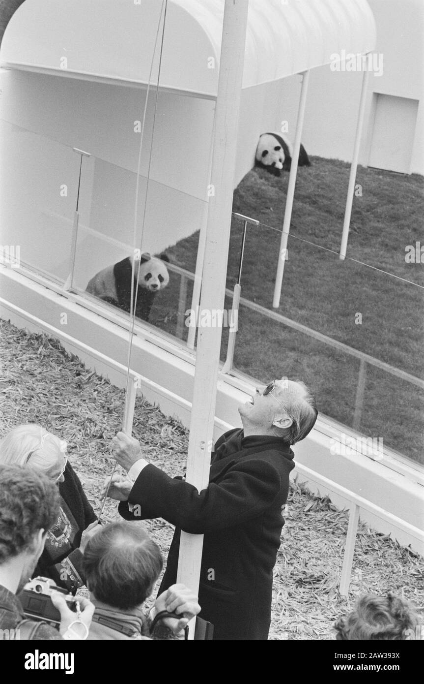 Prinz Bernhard setzt Unterkünfte riesige Pandas in Gebrauch, indem er die Flagge des WWF anhebt Datum: 21. Mai 1987 Personenname: Bernhard, Fürst Stockfoto
