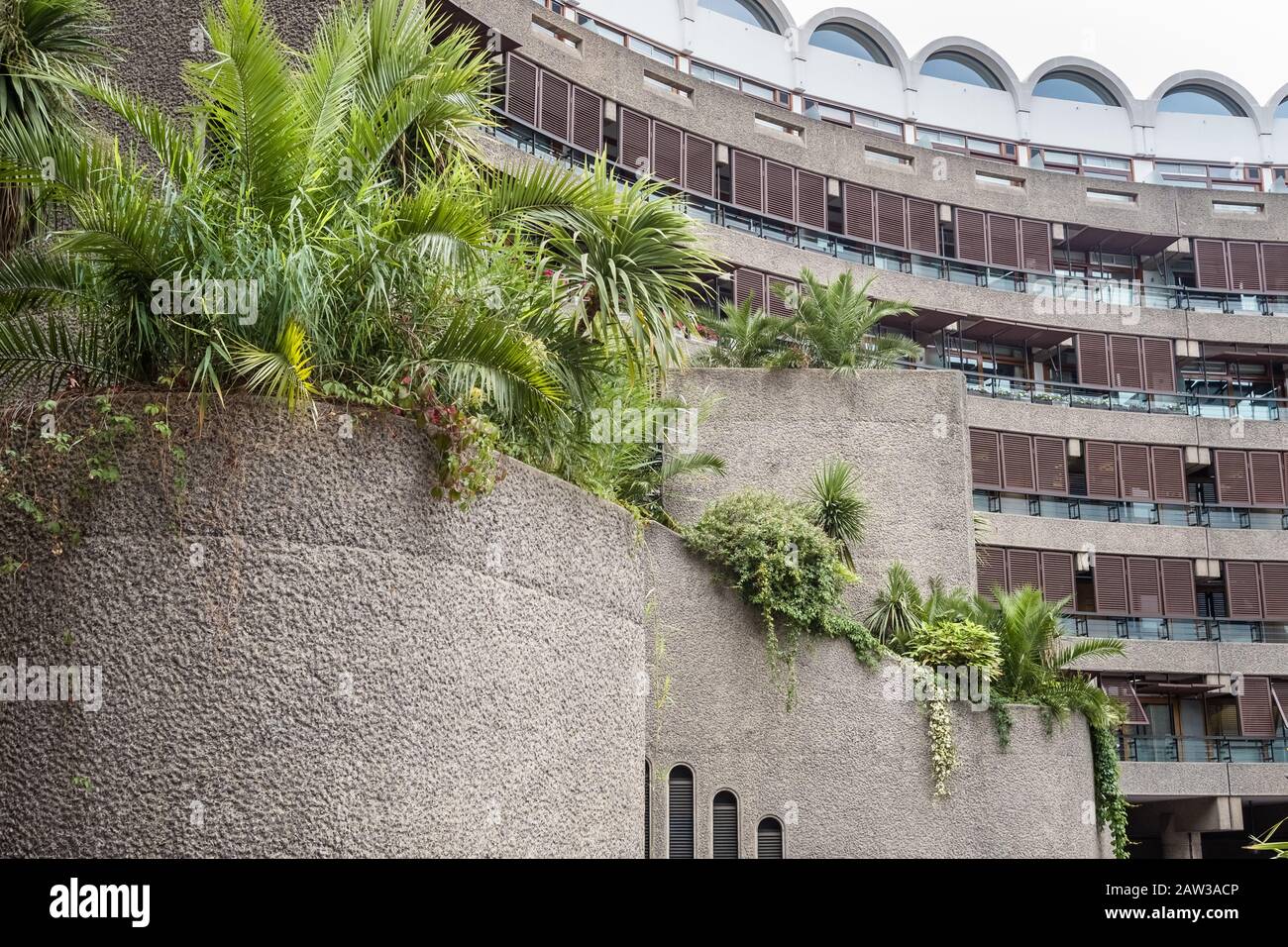 Grüne Gartenpflanzen mildern früher das Aussehen der brutalistischen Architektur, The Curve, Barbican, London, Großbritannien Stockfoto
