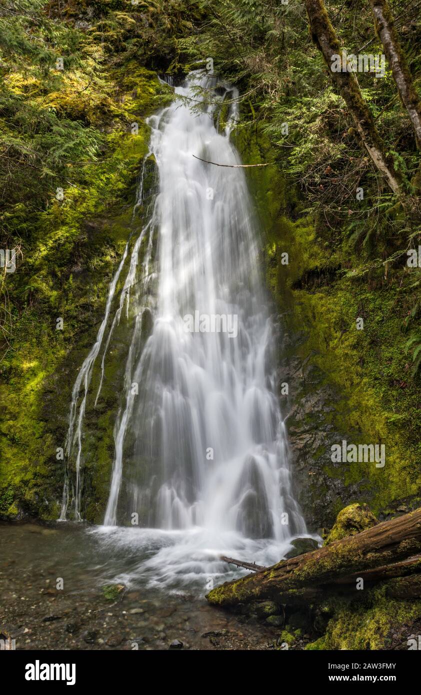 Madison Falls, Elwha Valley, Olympic Mountains, Olympic National Park, Washington, USA Stockfoto