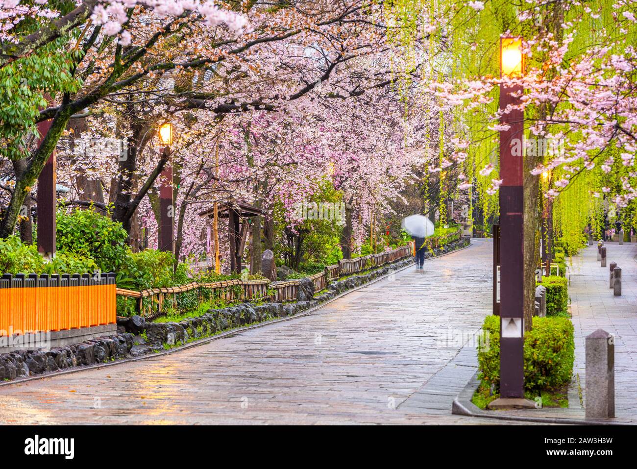 Gion Shirakawa, Kyoto, Japan Old Town Streets im Frühjahr. Stockfoto