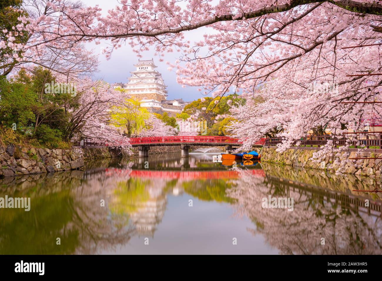 Himeji, Japan in der umgebenden Wassergraben der Himeji Castle im Frühjahr Saison. Stockfoto