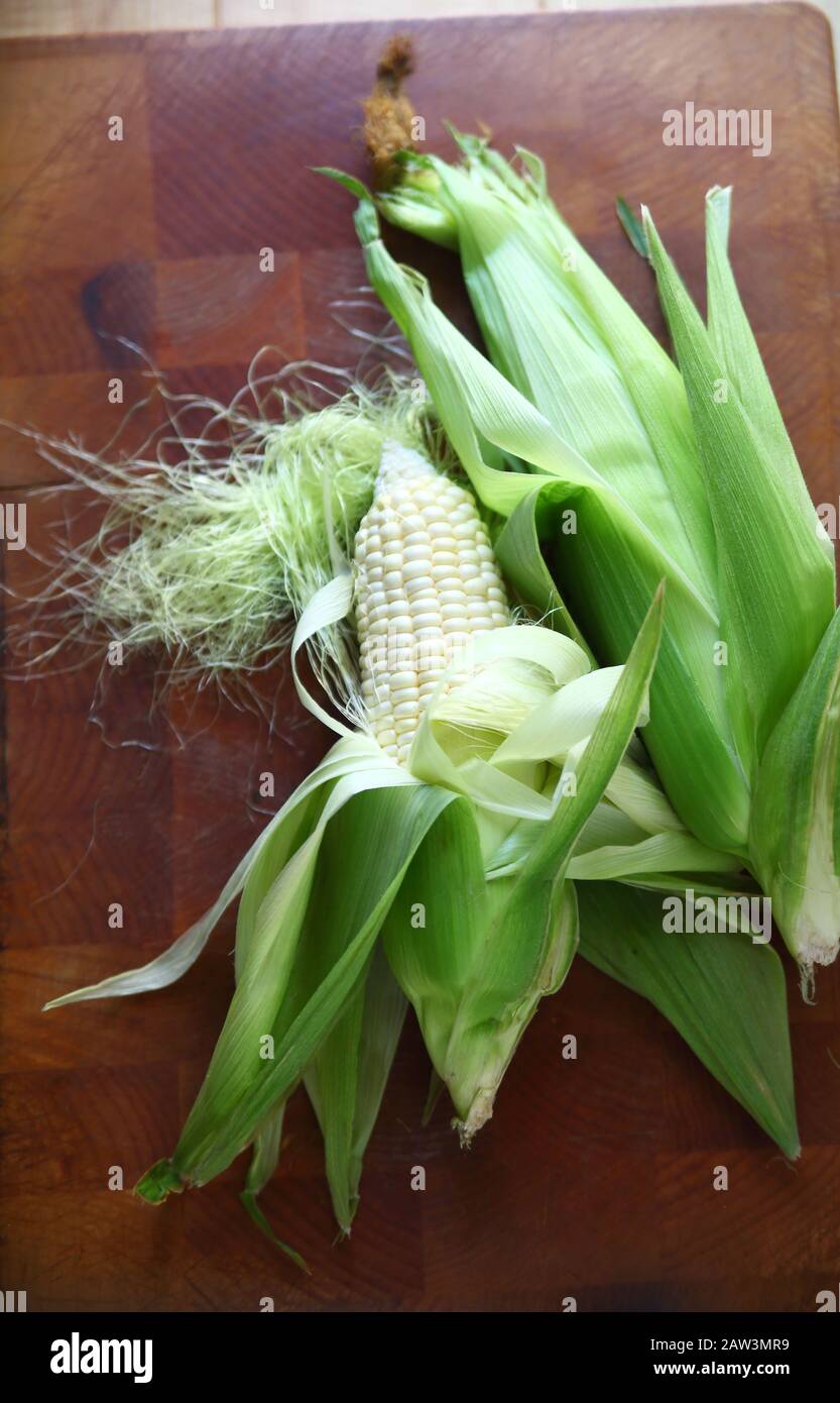 Blick über den Kopf von frischem weißem Mais in den Husen Stockfoto