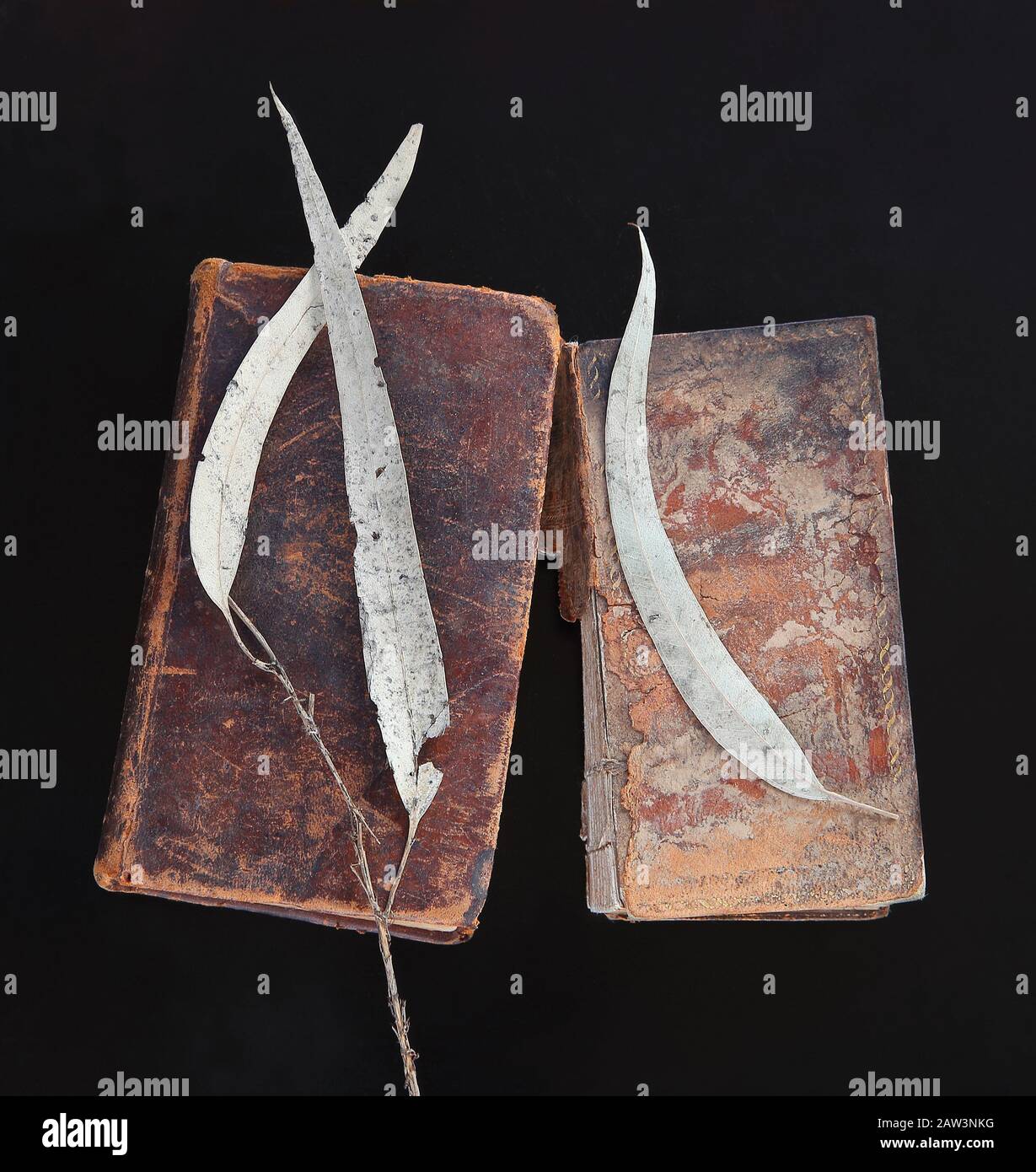 Abgestorbene Blätter an zwei Jahrbüchern auf dunklem Hintergrund Stockfoto
