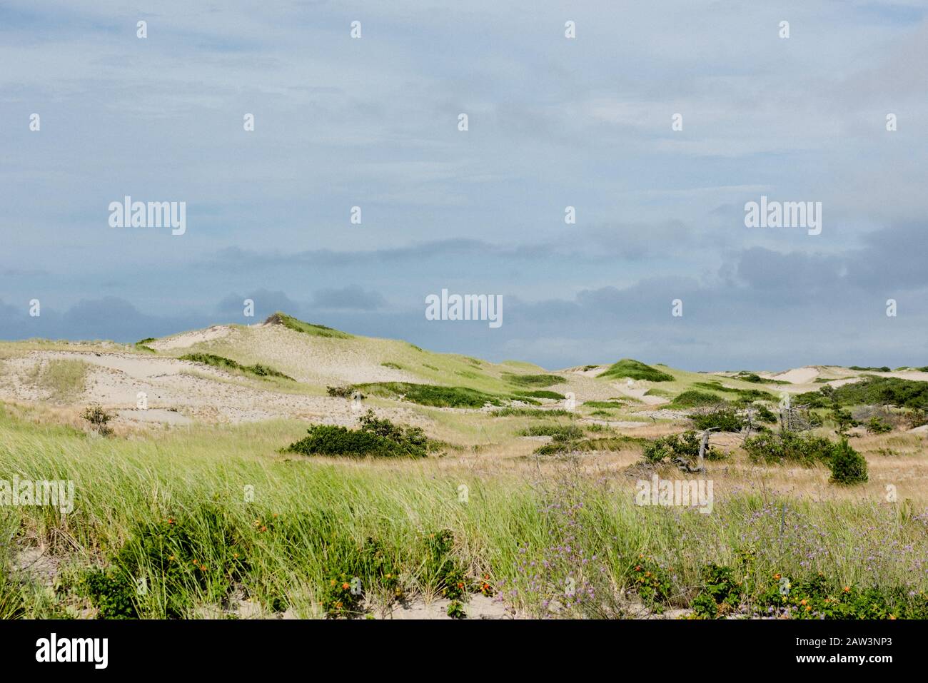 Windgepeitschte Dünen entlang einer isolierten Küste Stockfoto