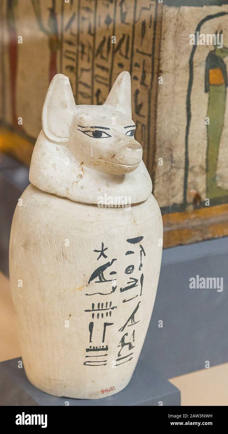 Kairo, Ägyptisches Museum, Kanopische Gläser von Shepses-Hor, Spätzeit, Kalkstein, bedeckt mit den Köpfen der vier Söhne von Horus : Duamutef als Schakal. Stockfoto