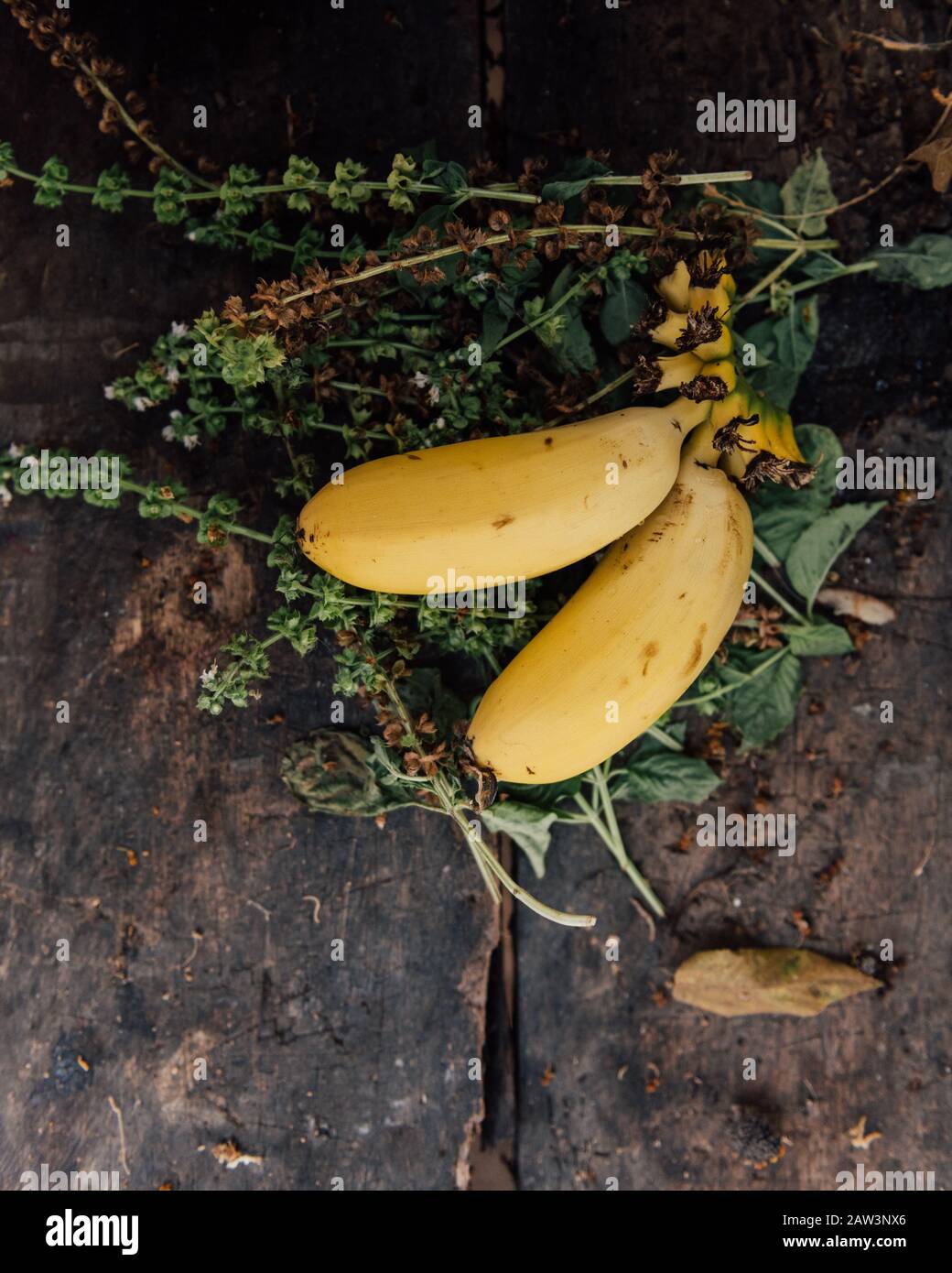 Reife Bananen ruhen auf einem gut abgenutzten Tisch Stockfoto