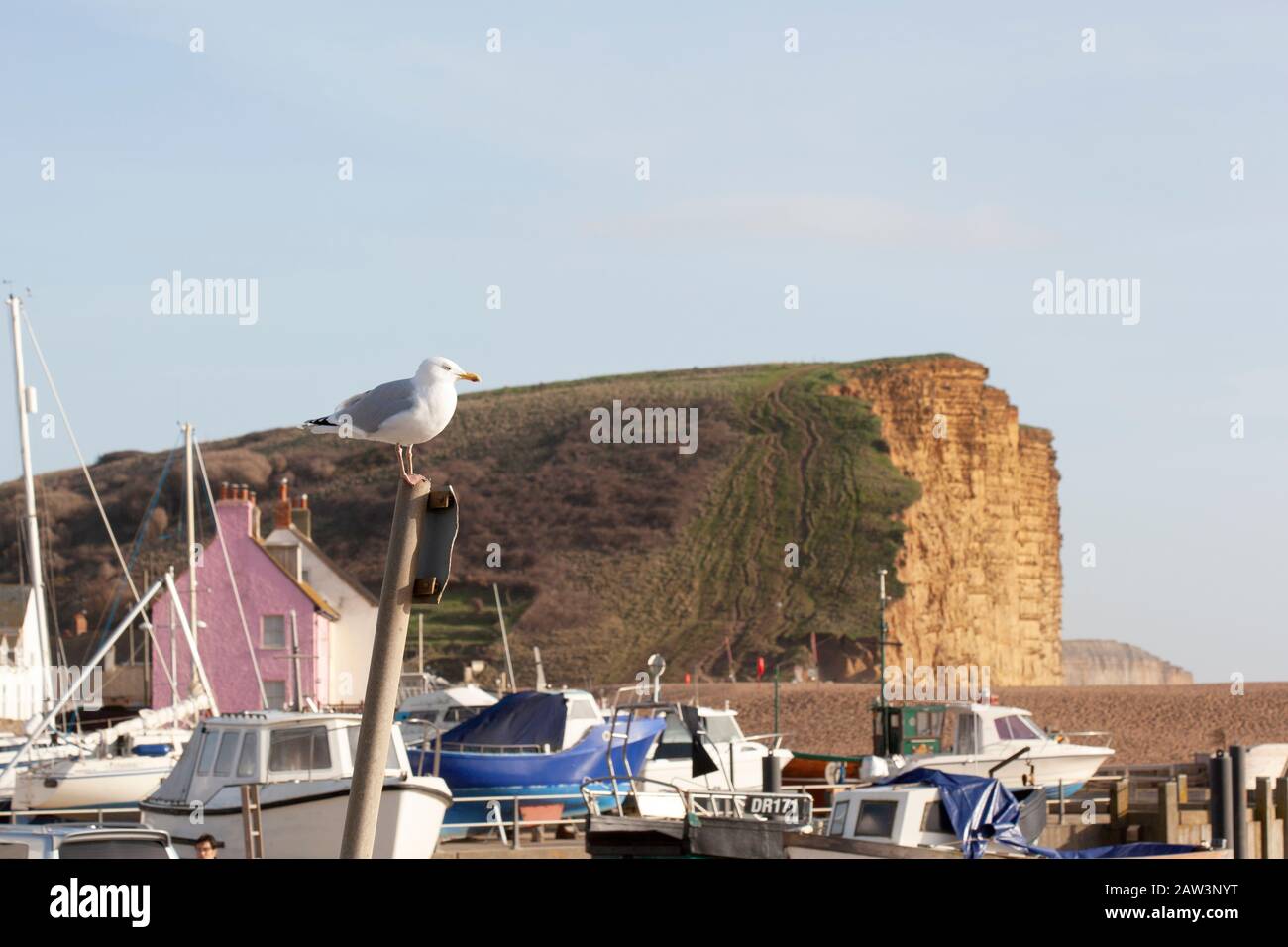 Fischerboote auf der Hardstanding mit den dramatischen Klippen an der West Bay an der Dorset Küste im Hintergrund Stockfoto