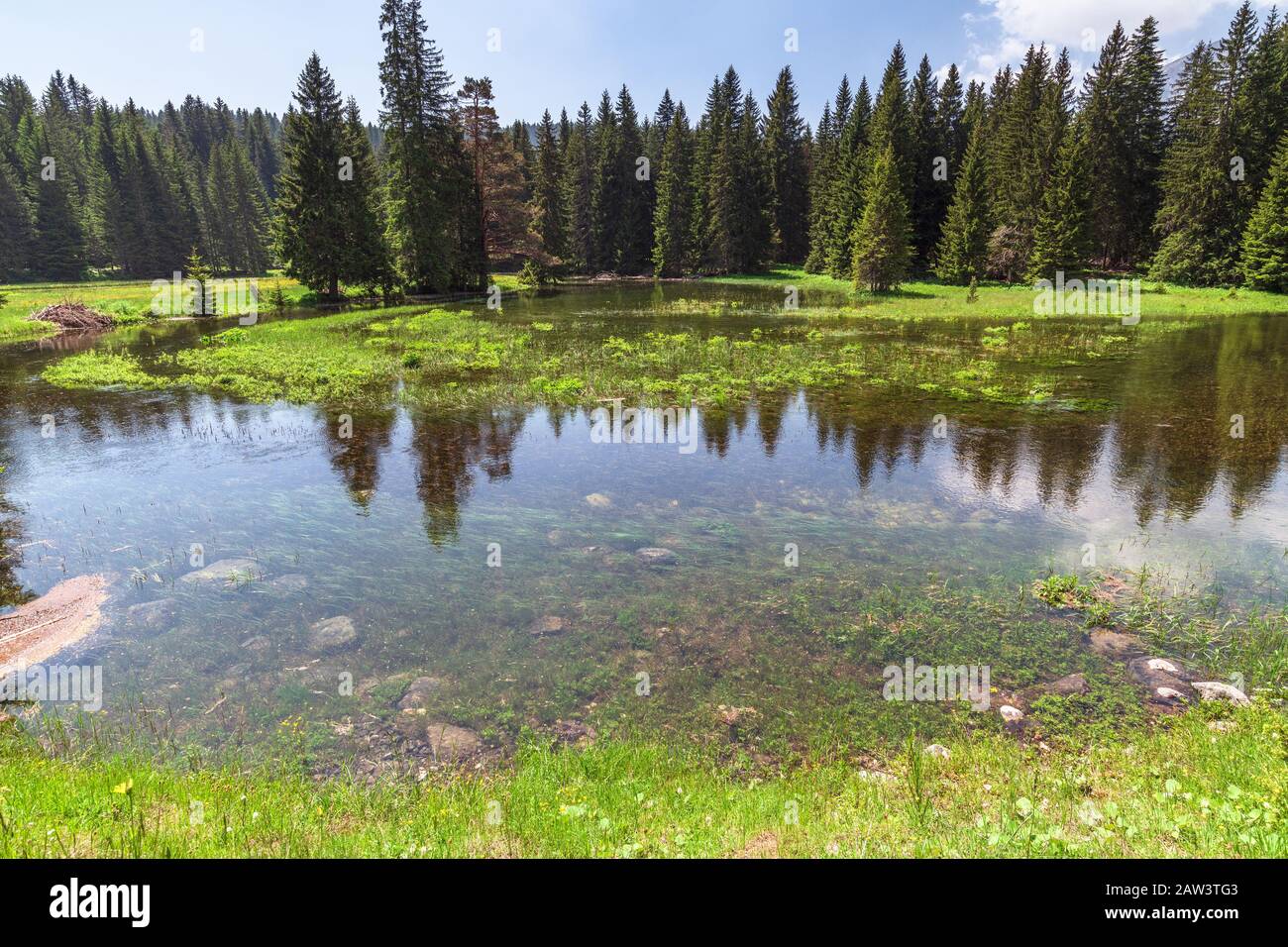 Schwarzer See in einem Durmitor Park, Montenegro Stockfoto