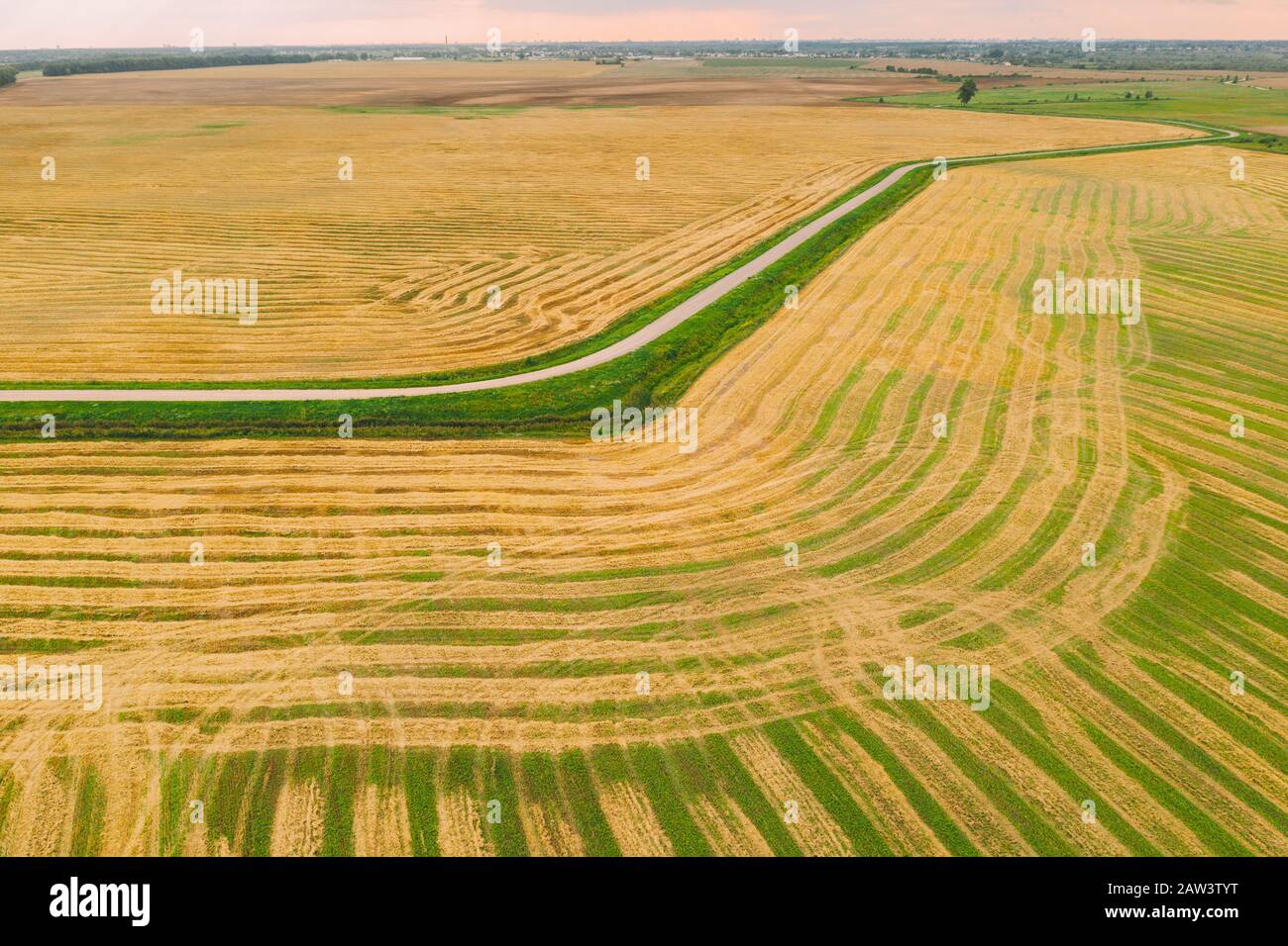 Luftansicht Der Ländlichen Landschaft. Naturbelassenes Grün- Und Gelb-Feld Mit Trails Lines. Draufsicht Des Feldes Im Spätsommer Während Der Ernte. Vogelperspektive Drone Vi Stockfoto