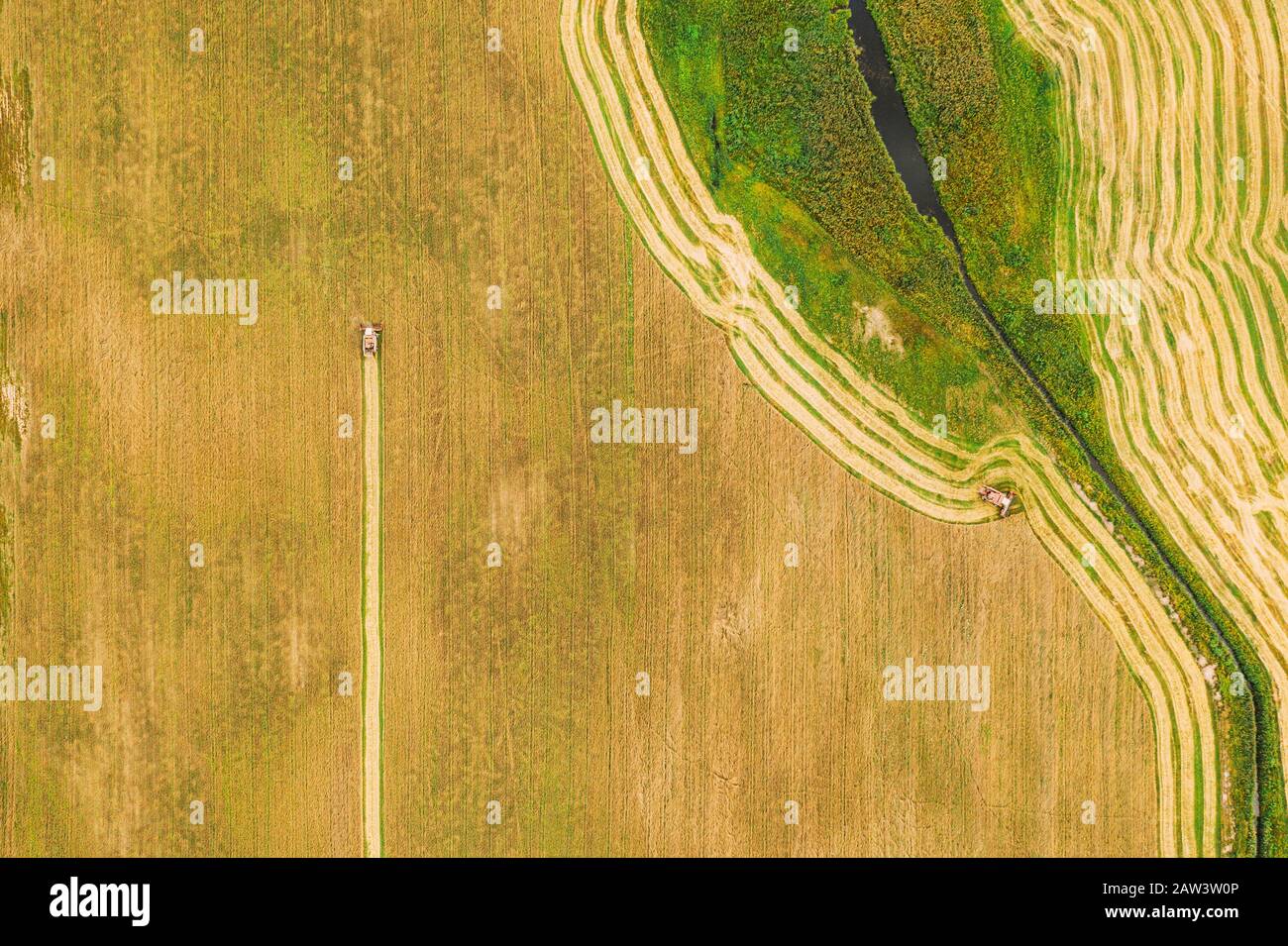 Luftaufnahme der ländlichen Landschaft. Mähdrescher arbeiten In Feld, sammelt Samen. Ernte von Weizen im Spätsommer. Landwirtschaftliche Maschine Collectin Stockfoto