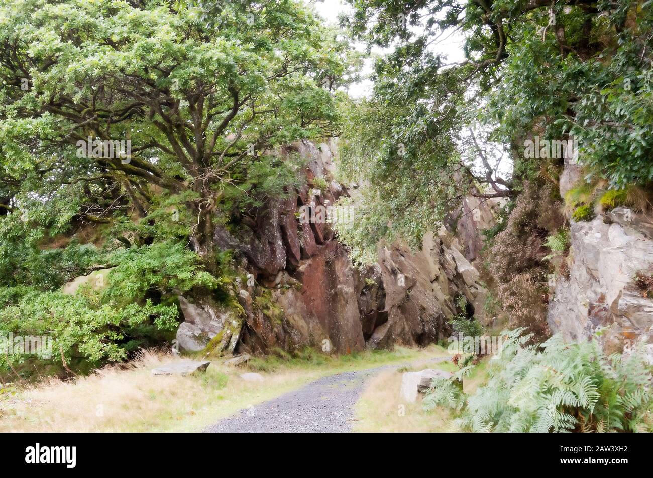 Ein Gehweg, Weg, durchschnitten Felsen mit umliegenden Bäumen. Stockfoto