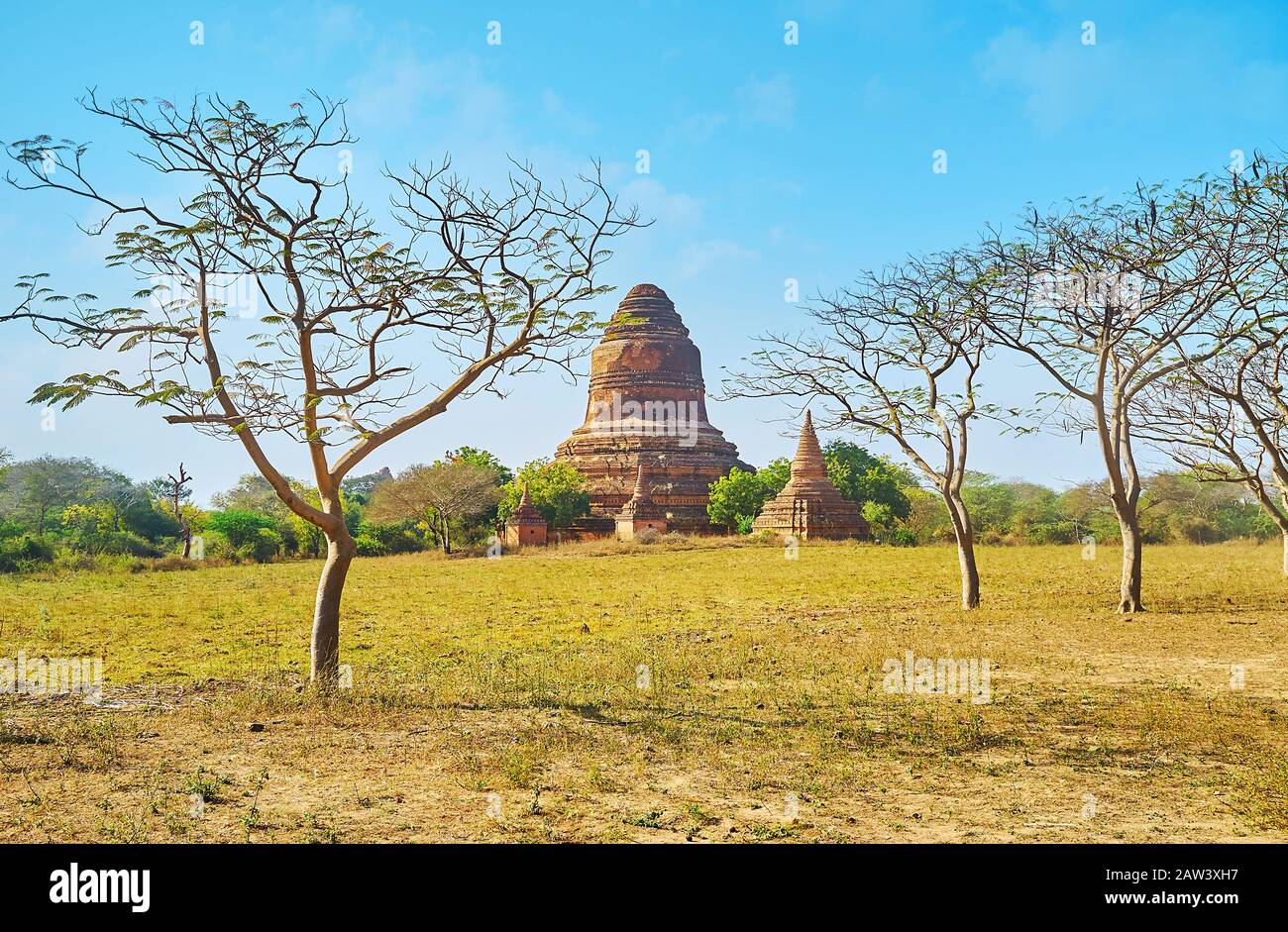 Beobachten Sie die alten Ruinen von Inn Pagode durch die trockenen Akazienbäume in Bagan Savanne, Myanmar Stockfoto