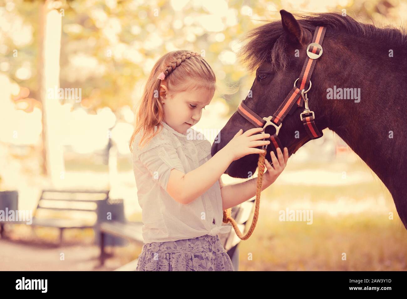 Mein lieblicher Freund. Closeup Portrait niedliches kleines Mädchen, das ihr Pony Pferd im Freien isoliert vor grünem Parkhintergrund bei Sonnenuntergang knaubert Stockfoto