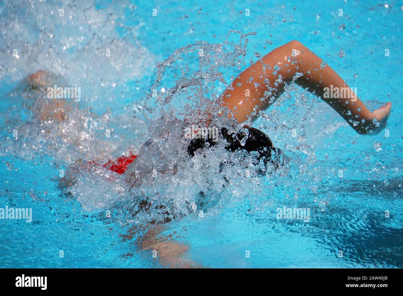 Freistilschwimmen - Profi-Schwimmer beim Rennen in Meran, Italien, kein Gesicht Stockfoto