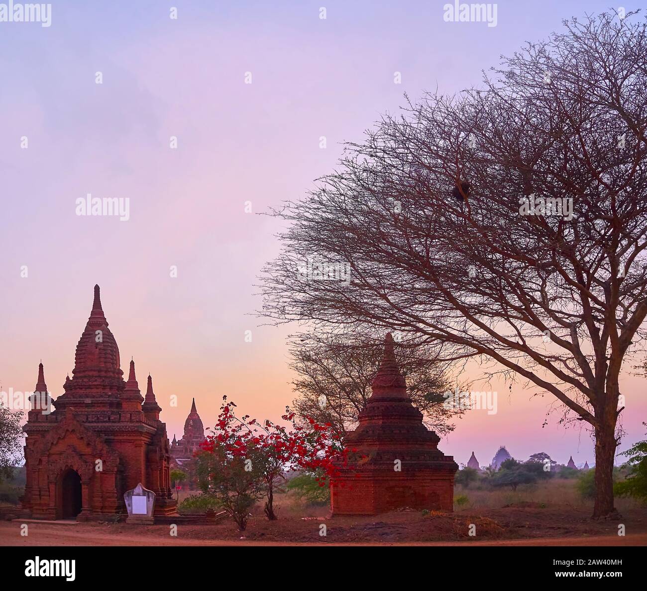 Der malerische Himmel über den atemberaubenden Schreinen von Bagan, der sich auf Savannenweite, Myanmar, ausbreitet Stockfoto