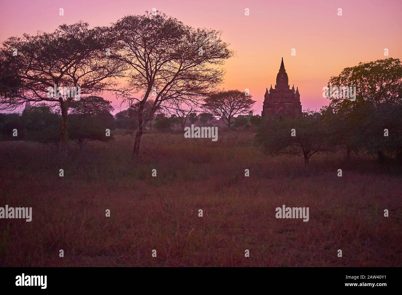 Die letzten Sonnenstrahlen am Himmel des Alten Bagan machen seine Savanne dunkel und zaubern mit Silhouetten alter Tempel, Stupas und gespreizten Bäumen, Myanmar Stockfoto