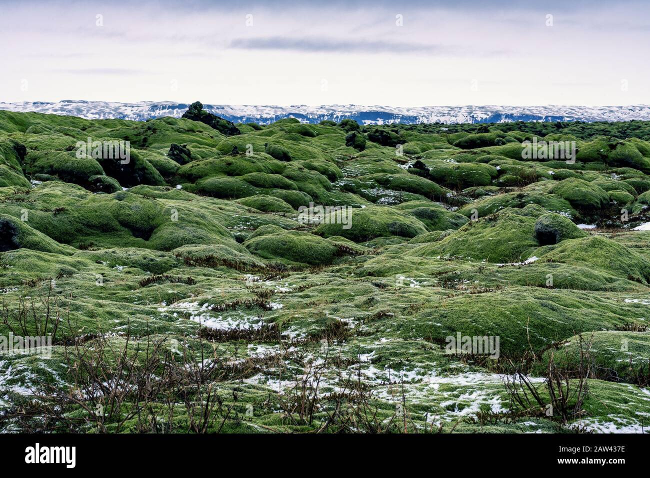 Dramatische Feldartikelgesteine mit grünem Moos bedeckt in Island Stockfoto