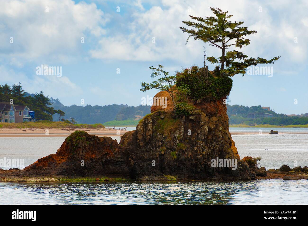 Gesteine zwischen den Gezeiten in der Siletz Bay in Lincoln City an der Küste von Oregon Stockfoto