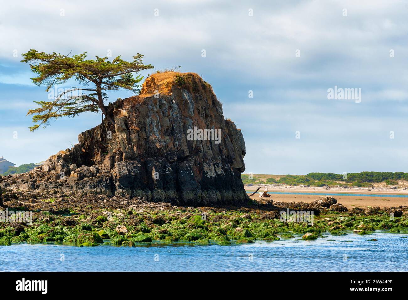 Gesteine zwischen den Gezeiten in der Siletz Bay in Lincoln City an der Küste von Oregon Stockfoto