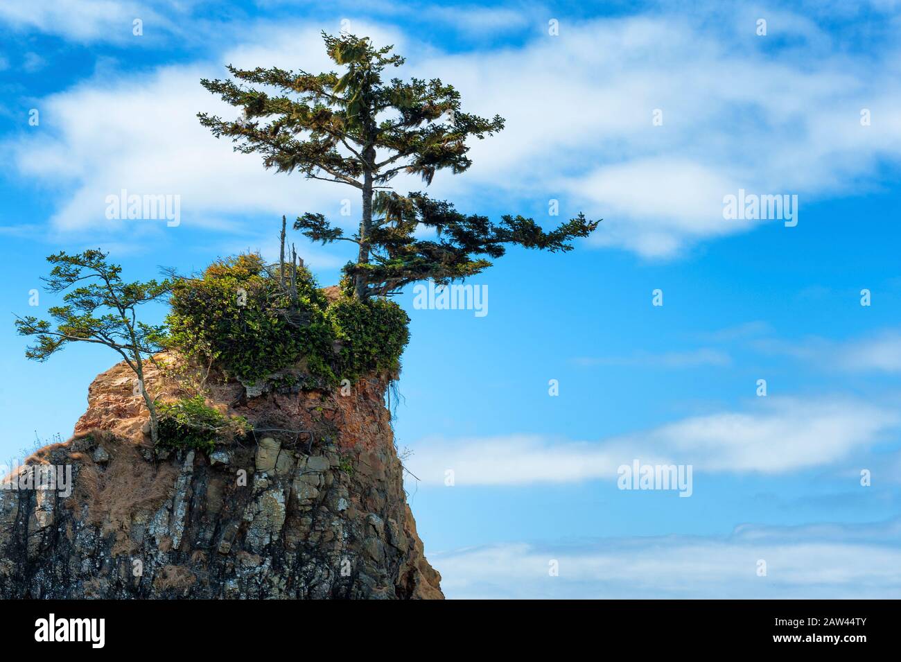 Gesteine zwischen den Gezeiten in der Siletz Bay in Lincoln City an der Küste von Oregon Stockfoto