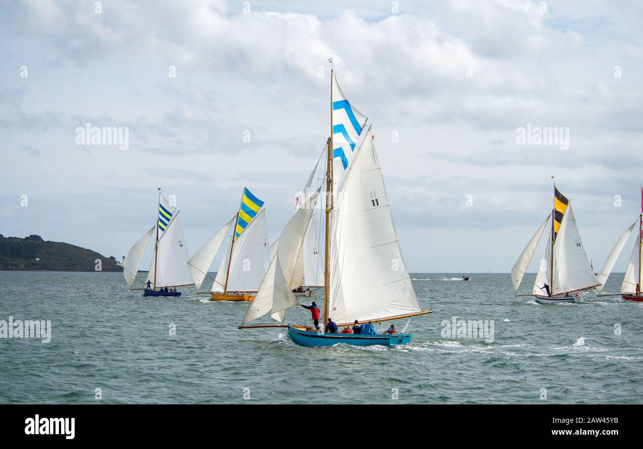 Bunte Gruppe von Falmouth Arbeitsbooten in voller Höhe segeln in der Falmouth-Flussmünde in einer brishen Brise, Sonne und Wolke aus, einzigartige topsegelfarben fliegen Stockfoto