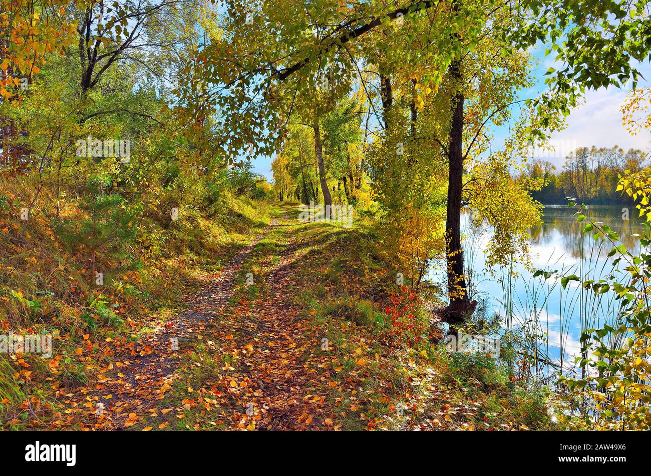 Malerische Herbstlandschaft am See - Fußweg in der Nähe des Wassers mit goldenen trockenen Blättern bedeckt. Sonniger, warmer oktobertag mit blauem Himmel, weiße Wolken sind wieder da Stockfoto