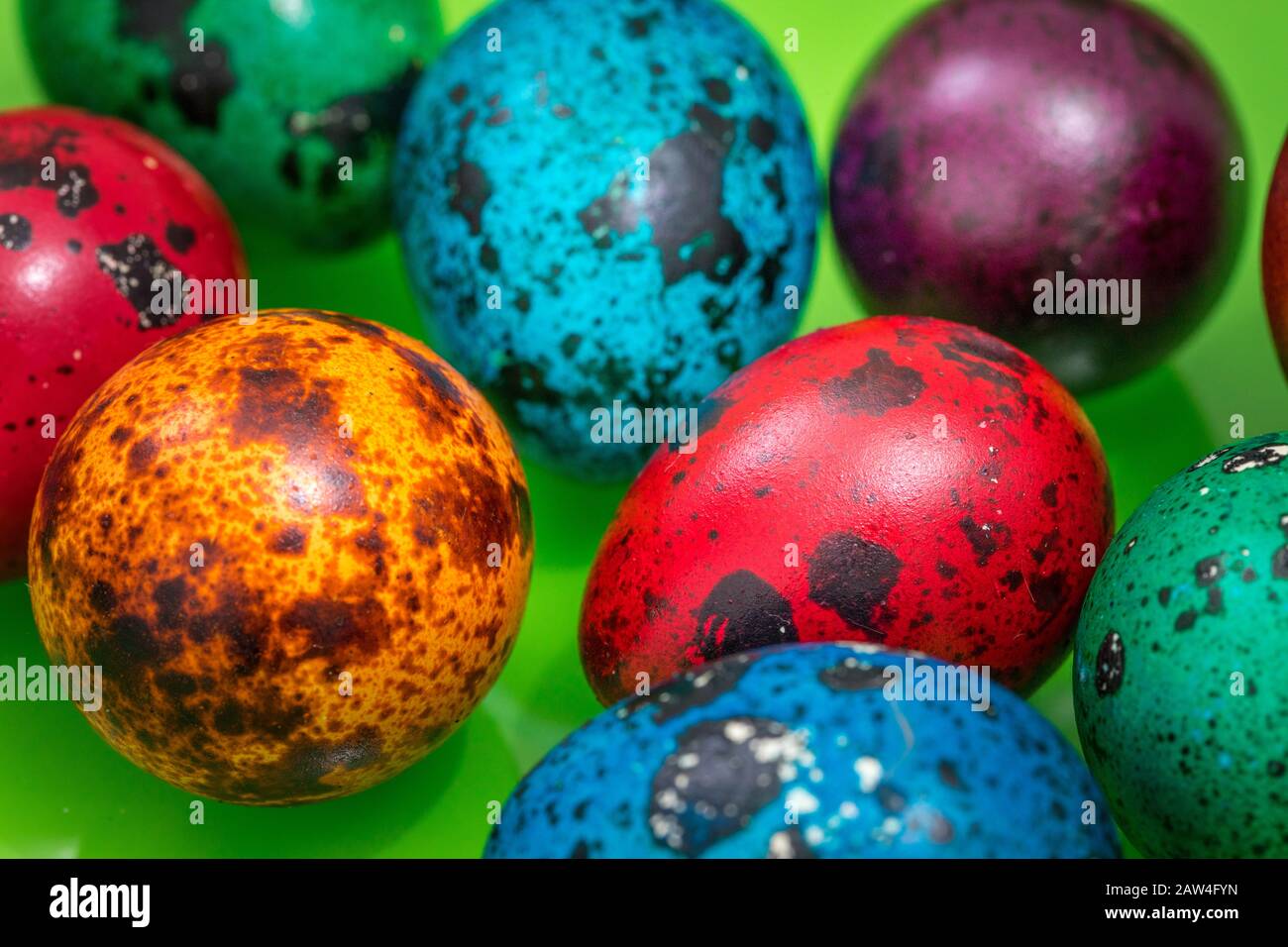 Bemalte Eier verschiedener Farben auf grünem Grund, Osterdekoration Stockfoto