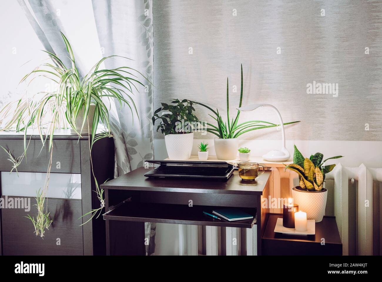 Graues, geschlechtsneutrales Heimbüro mit vielen beruhigenden grünen, lebenden Topfblütlern. Umweltfreundliches, ruhiges Lifestyle-Konzept. Stockfoto