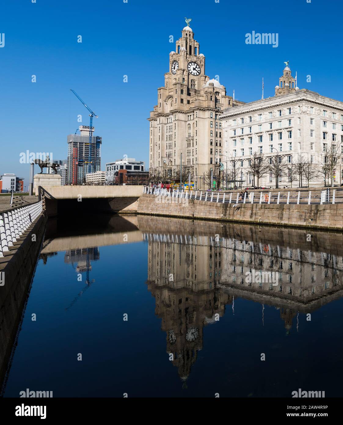 Die Liverbird- und Uhrengesichter auf dem Royal Lever Building reflektieren im Kanal am Liverpooler Ufer, der im Februar 2020 gesehen wurde. Stockfoto