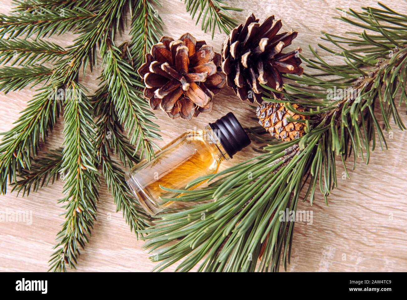 Aromaölflasche aus Kiefer und Tannenbaum mit Kiefern und Tannenästen zur Dekoration auf Holzhintergrund. Ätherisches Ölkonzept. Stockfoto