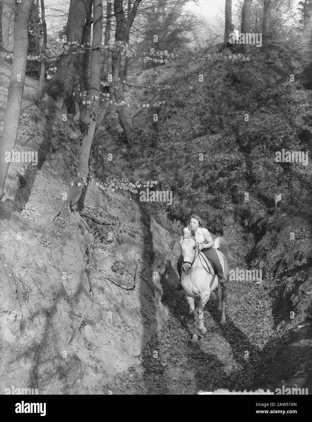 Prinzessin Beatrix und Prinzessin Irene nehmen an Reitwettbewerben auf dem Grebbeberg Teil. Prinzessin Beatrix Datum: 19. April 1952 Ort: Grebbeberg, Rhenen Schlüsselwörter: Reitsport, Reiter Personenname: Beatrix (Prinzessin Niederlande) Stockfoto