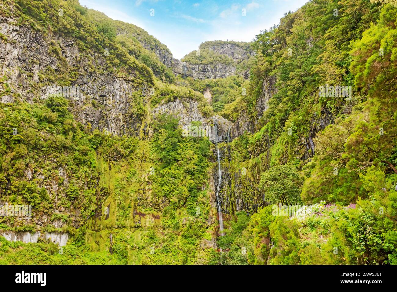 Blick auf 25 Fontes (25 Springbrunnen Wasserfälle) und grünliche Waldlandschaft auf Madeira, der Wander- und Blumeninsel Stockfoto