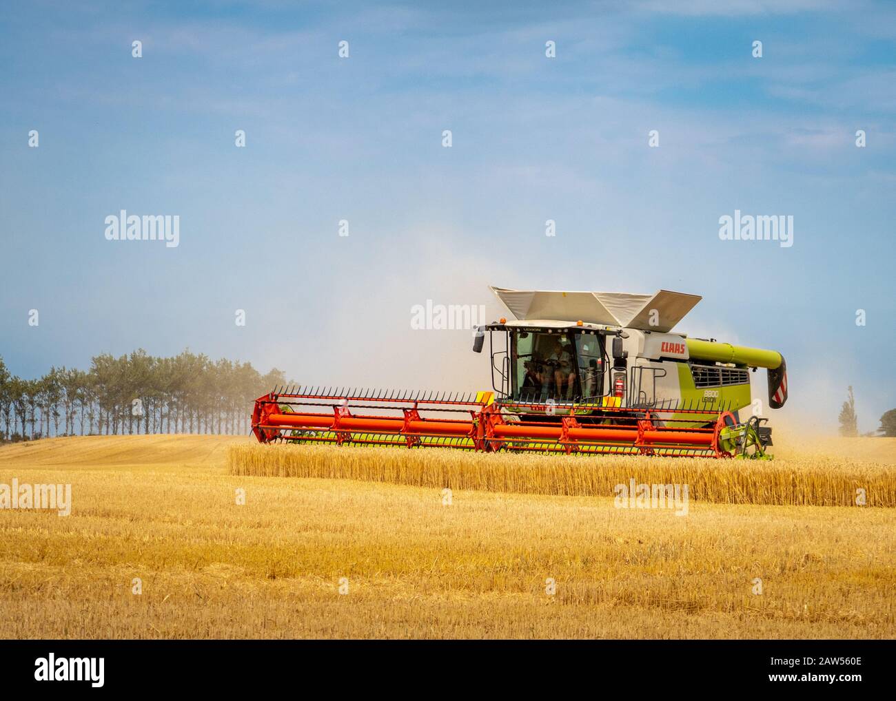 Canterbury, Neuseeland - 2. Februar 2020: Ein großer Mähdrescher, der im Sommer auf einem Gerstenfeld arbeitet Stockfoto