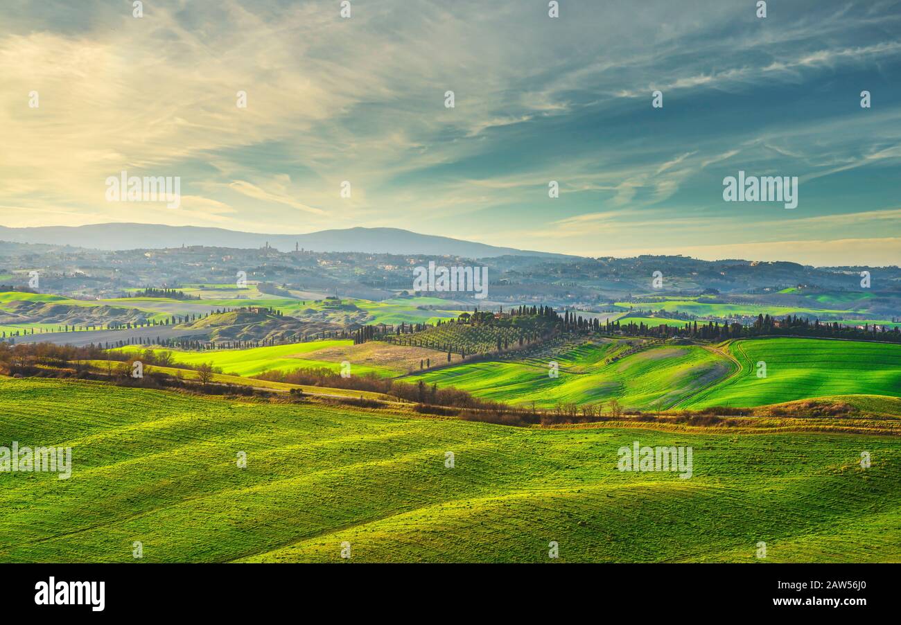 Die Panoramasilhouette der Stadt Siena, die Landschaft und die sanften Hügel. Toskana, Italien, Europa. Stockfoto