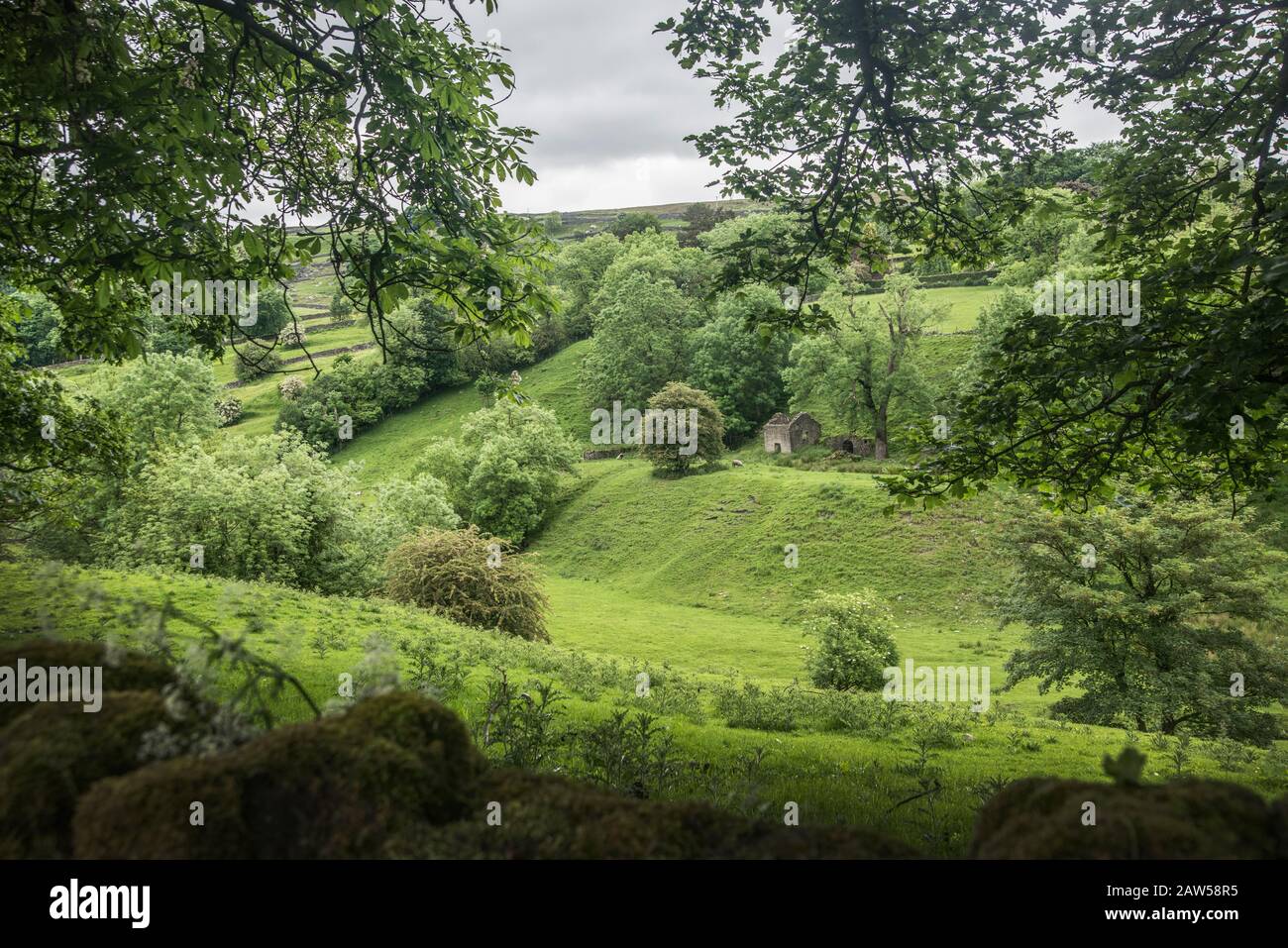 Sanfte Hügel der Yorkshire Dales Stockfoto