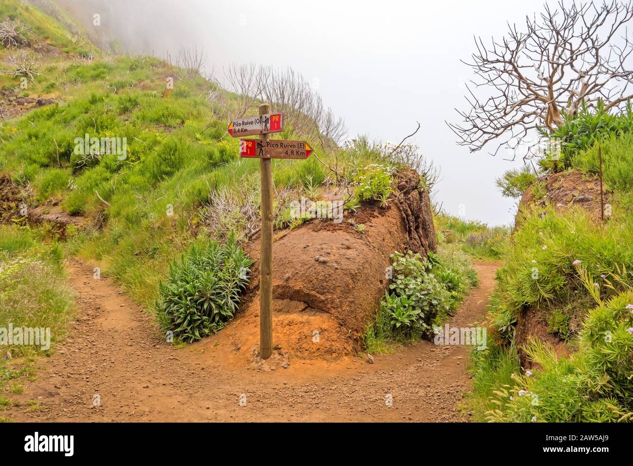 Wanderweg-Passage vom Berg Pico Arieiro nach Pico Ruivo, Madeira - Wegweiser mit Alternativen Routen Stockfoto