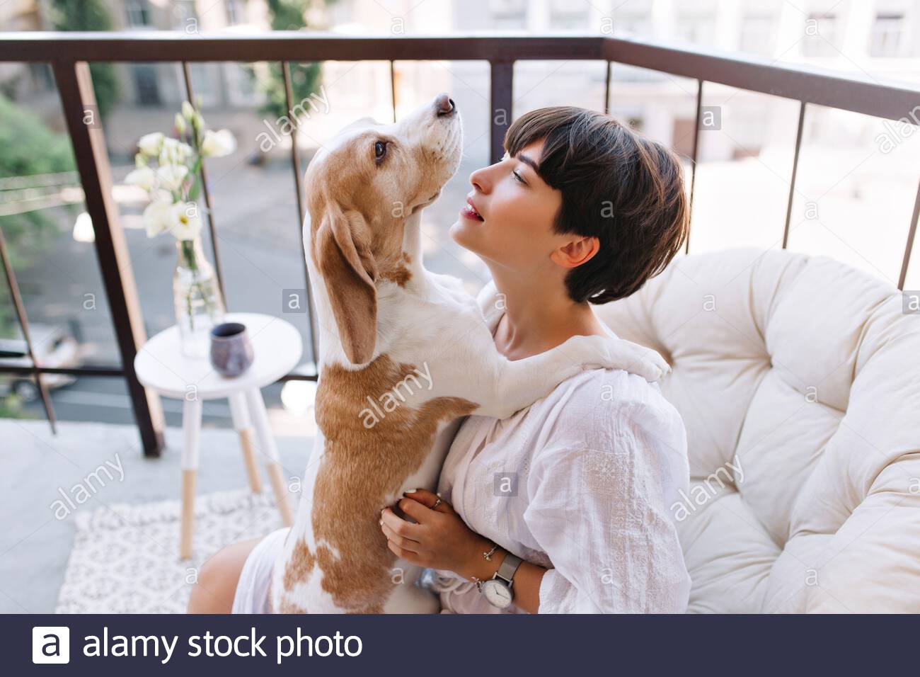 Ruhiger Welpe Stockfotos Ruhiger Welpe Bilder Alamy
