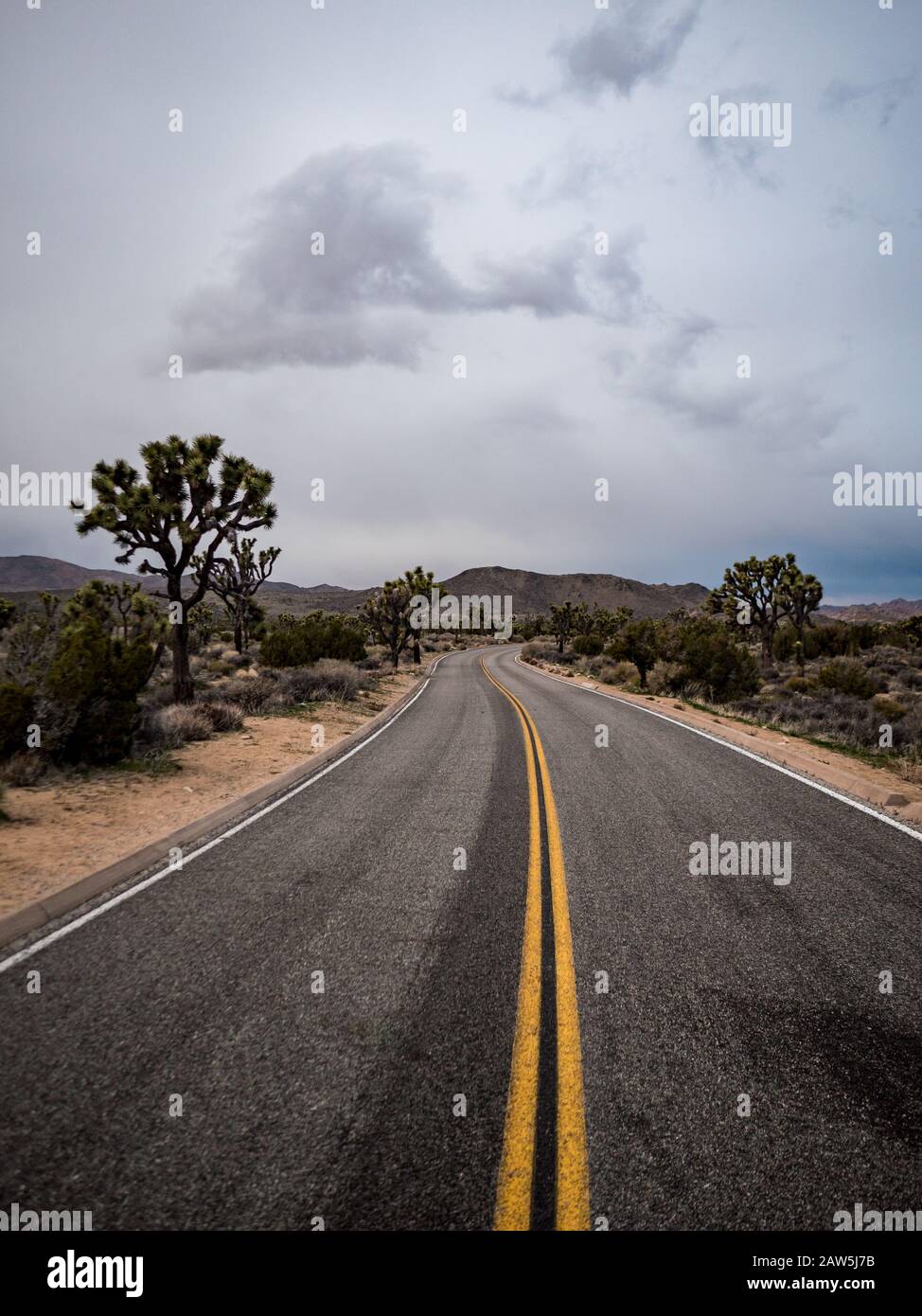 Straße schlängelt sich durch den Joshua Tree National Park unter grauem Himmel Stockfoto